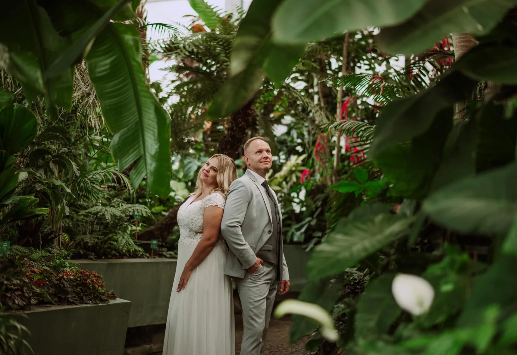 Sesja ślubna - Sesja w Palmiarni